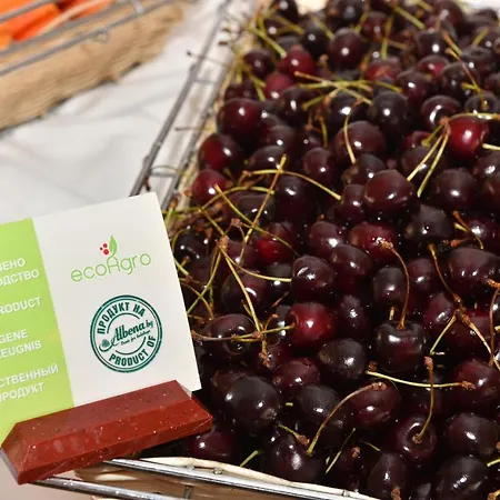 нона Хотел 3*